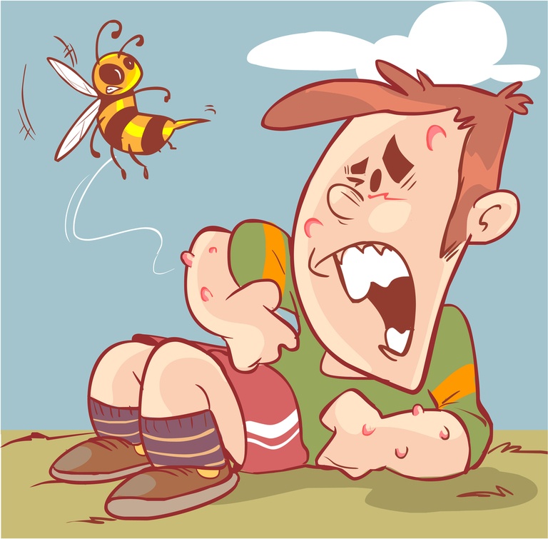 How Do You Treat An Insect Sting While Camping?