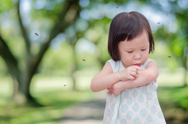 How Do You Treat An Insect Sting While Camping?