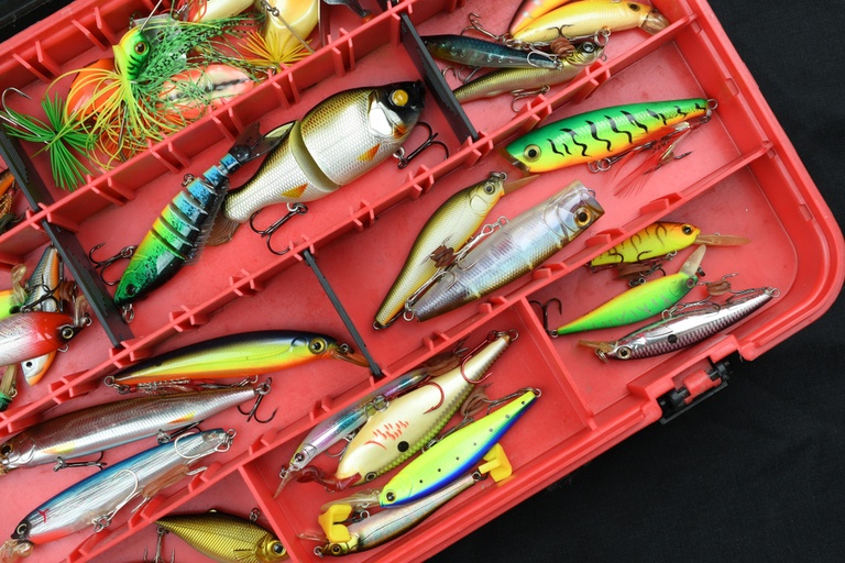 Common Fishing Myths Debunked