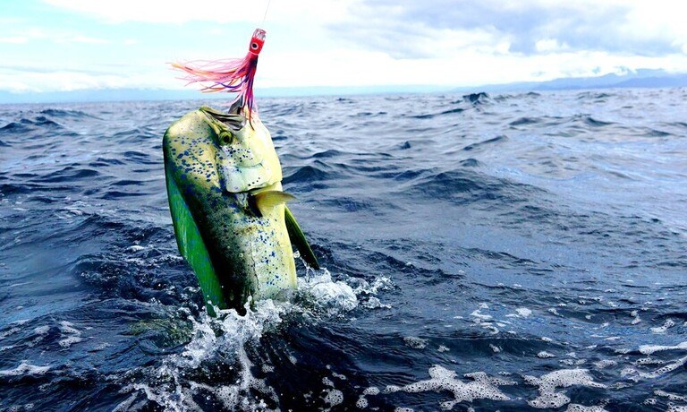Common Fishing Myths Debunked