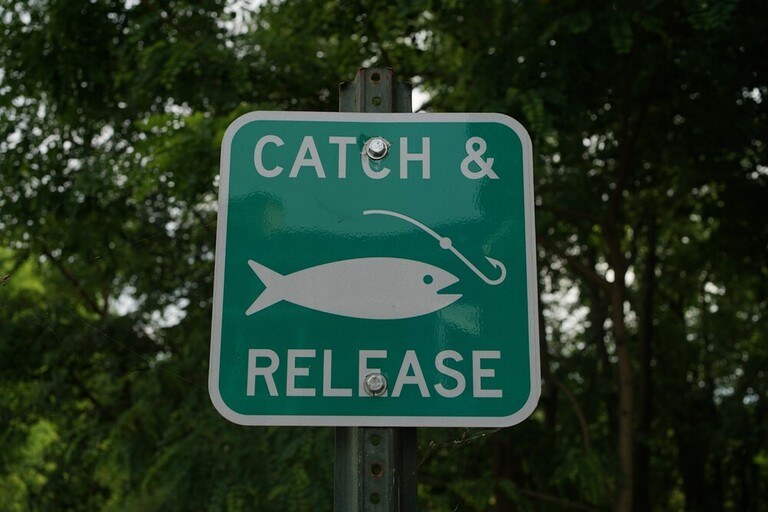 Common Fishing Myths Debunked Common Fishing Myths Debunked