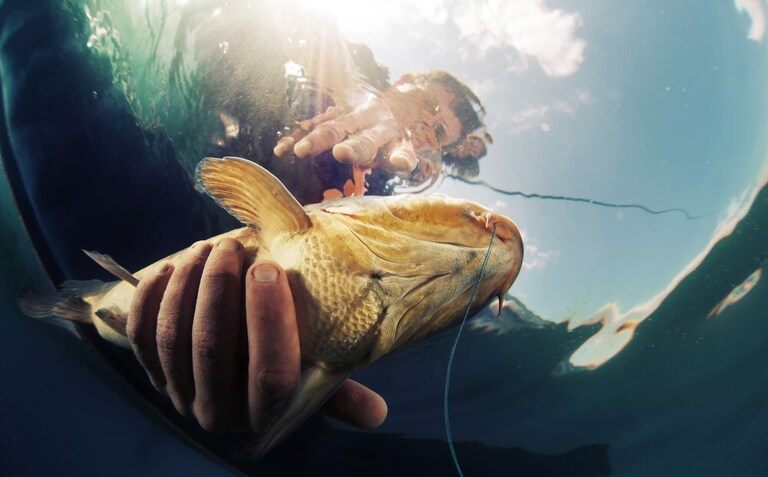 Common Fishing Myths Debunked