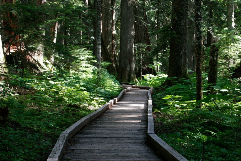 Under the Radar Hiking Trails Across the US