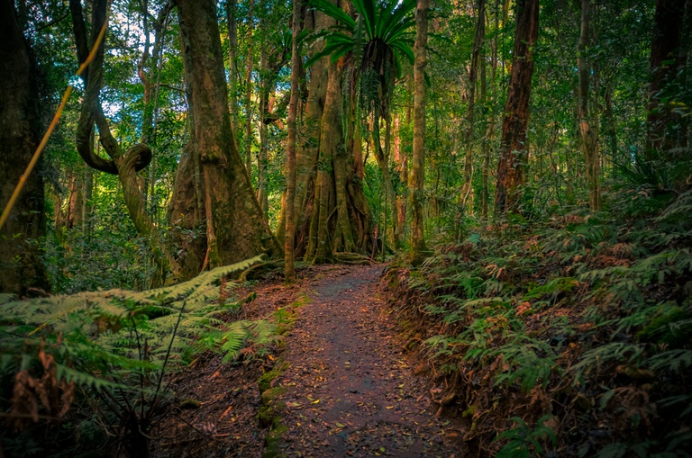 Under the Radar Hiking Trails Across the US