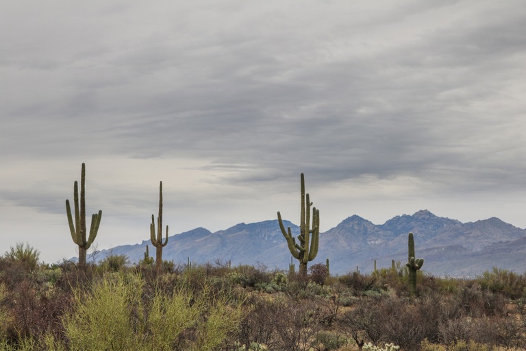 Under the Radar Hiking Trails Across the US