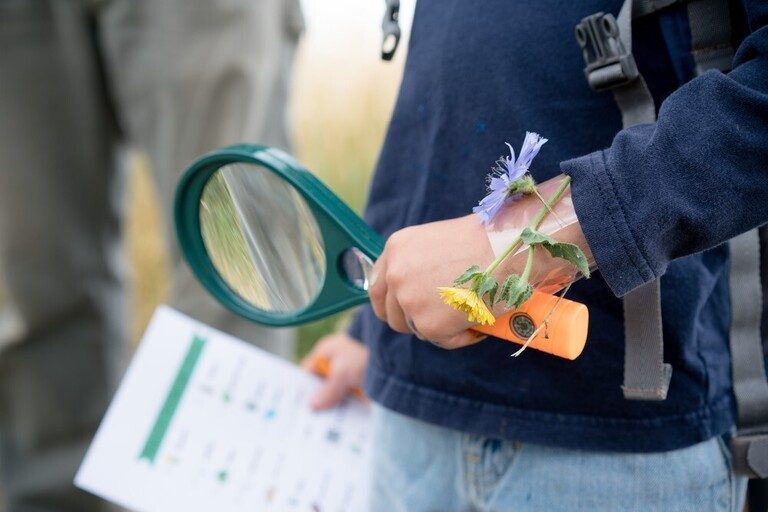 Low Impact Microadventure Ideas for Pandemic Isolation and Social Distance