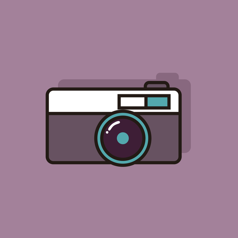 Tips For Taking Great Whale And Dolphin Photos