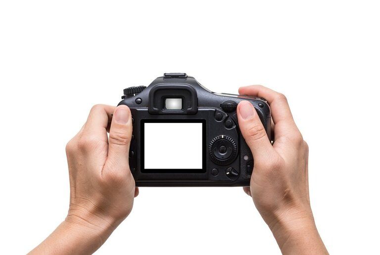 Tips For Taking Great Whale And Dolphin Photos