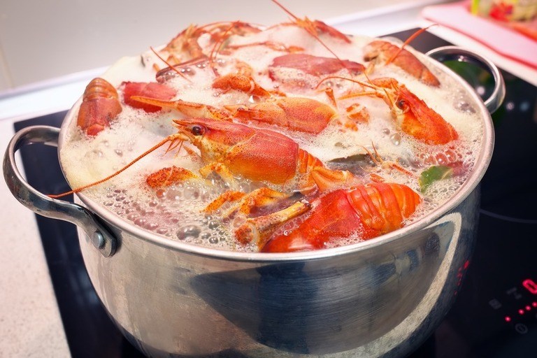 Simplest Ways To Cook Seafood On The Beach