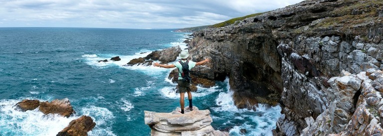 Best Places to Go Swimming With Whales