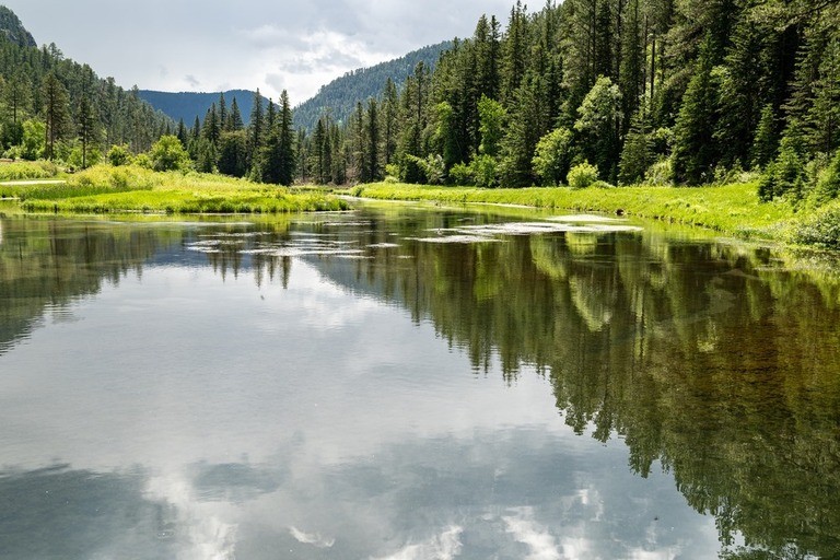 Best Fly Fishing Destinations in America for Trout