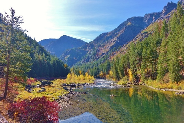 Best Fly Fishing Destinations in America for Trout