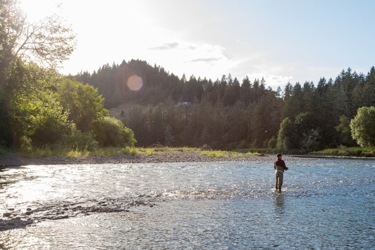 Best Fly Fishing Destinations in America for Trout