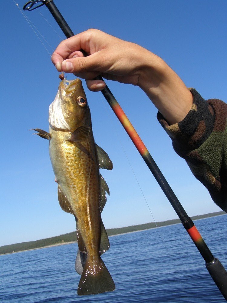 How To Read The Water To Find More Fish?