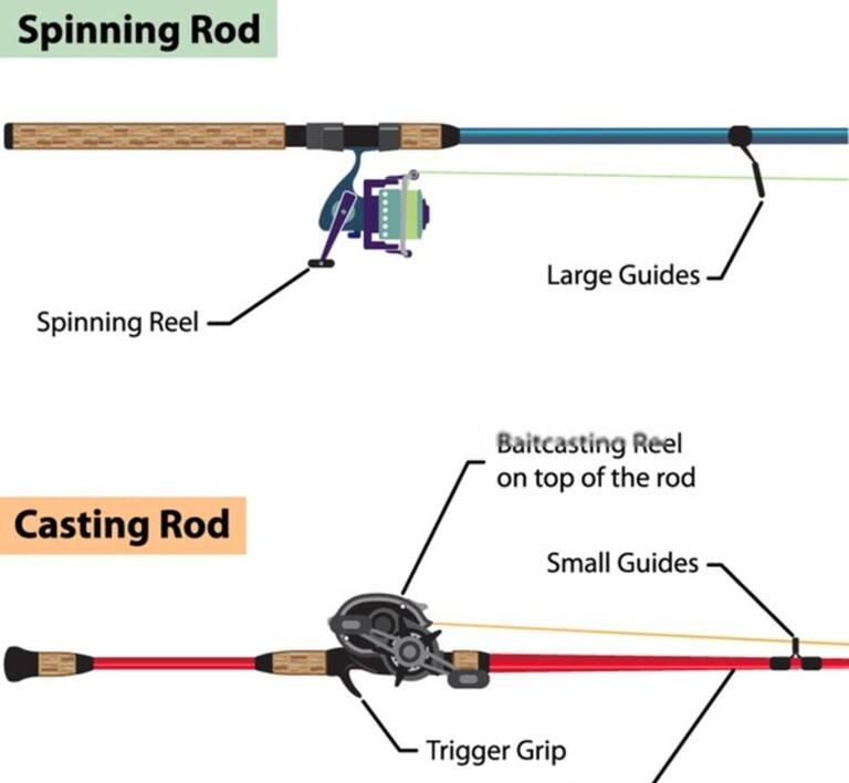 When to Use A Spinning Vs Baitcasting Rod, Explained?
