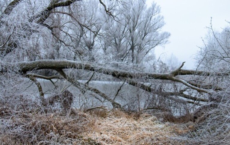 Three Often-Ignored Outdoor Risks That Could Get You Killed