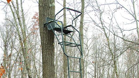 6 Most Comfortable Ladder Tree Stands of 2026 6 Most Comfortable Ladder Tree Stands of 2026