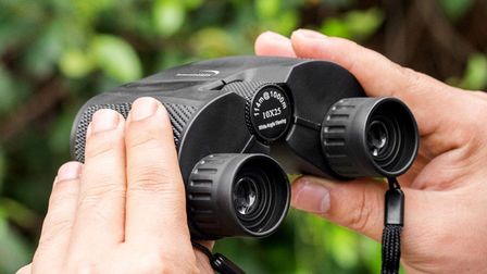 6 Best Budget Binoculars of 2026