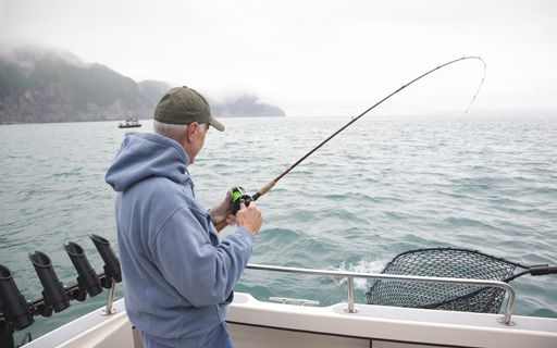 Top Things To Do in Alaska - Ultimate Guide