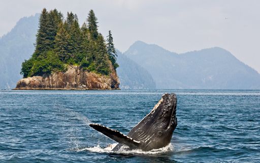 Top Things To Do in Alaska - Ultimate Guide