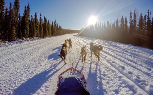 Top Things To Do in Alaska - Ultimate Guide