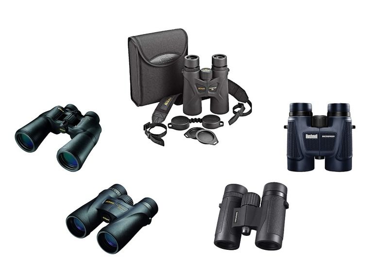 Top 5 Best Binoculars For Alaska Cruise