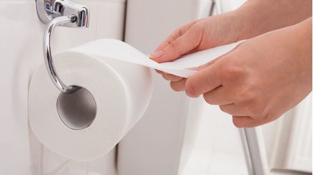 6 Best RV Toilet Papers of 2026