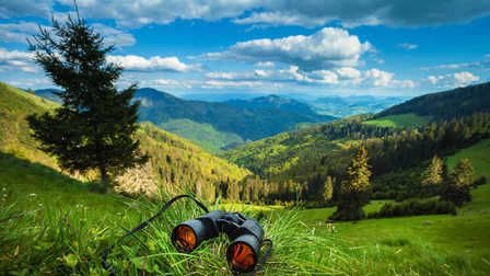 6 Best Binoculars For Safari of 2026 6 Best Binoculars For Safari of 2026