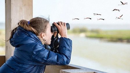 6 Best Lightweight Binoculars For Bird Watching of 2026