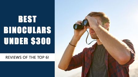 6 Best Binoculars Under $300 of 2026 6 Best Binoculars Under $300 of 2026