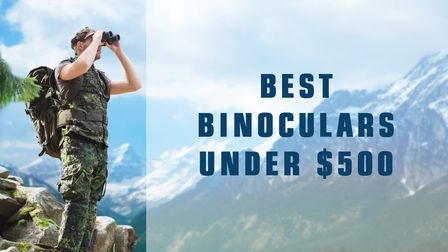 6 Best Binoculars Under $500 of 2026 6 Best Binoculars Under $500 of 2026