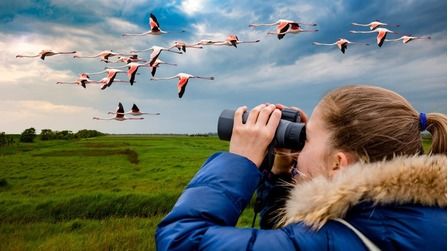 6 Best Monoculars For Bird Watching of 2026 6 Best Monoculars For Bird Watching of 2026