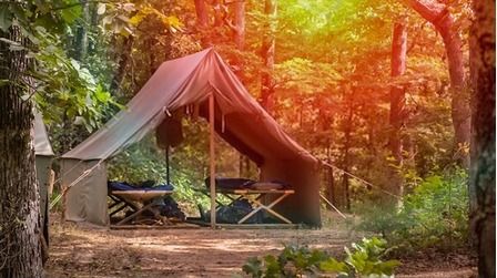 6 Most Comfortable Camping Cots of 2026