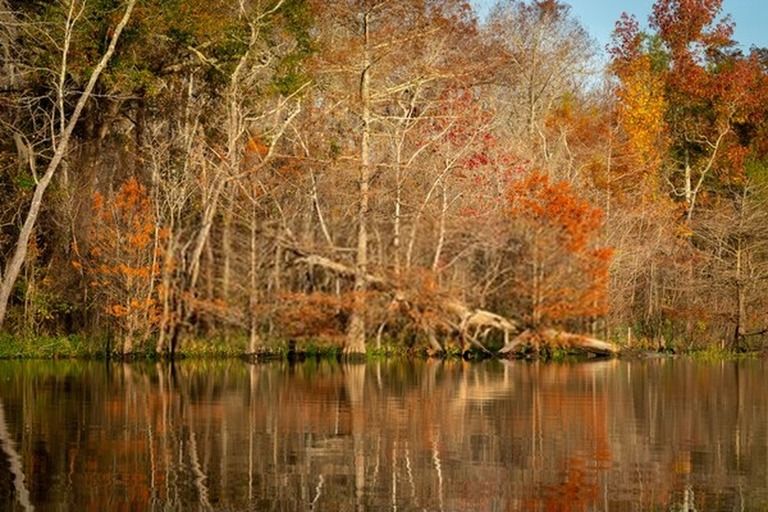 6 Best Places To Camp In Texas in 2026 6 Best Places To Camp In Texas in 2026