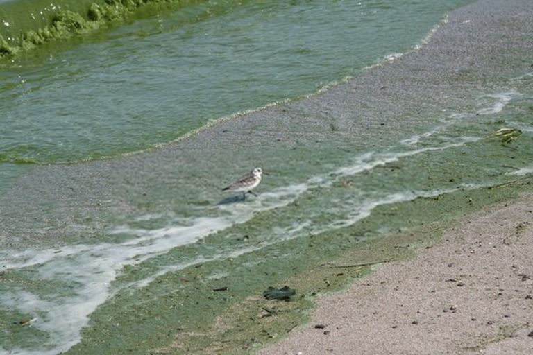 9 Best Bird Watching Places In USA in 2026 9 Best Bird Watching Places In USA in 2026