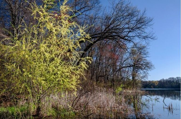 6 Best Places To Camp In Michigan in 2026 6 Best Places To Camp In Michigan in 2026