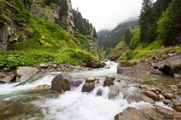 6 Best Places To Camp In Michigan in 2026 6 Best Places To Camp In Michigan in 2026