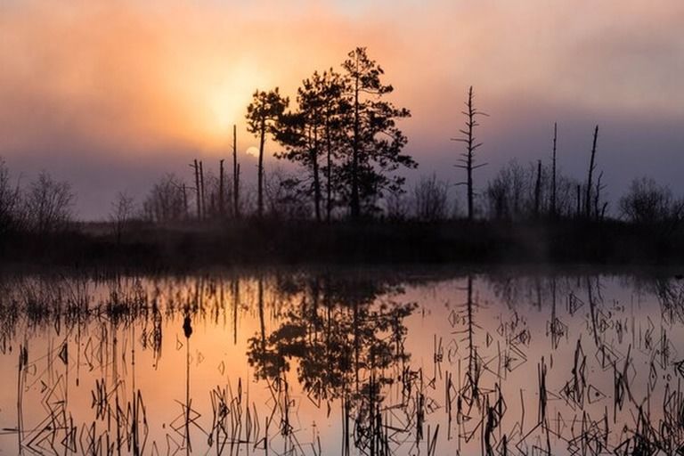 6 Best Places To Camp In Michigan in 2026 6 Best Places To Camp In Michigan in 2026