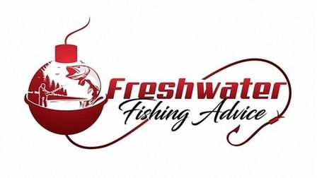 Learn How to Catch More & Bigger Fishes