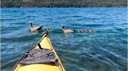 6 Best Duck Hunting Kayaks of 2026