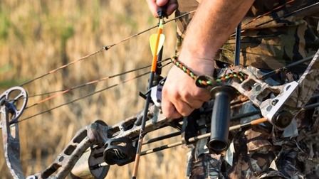 8 Best Budget Compound Bows of 2026