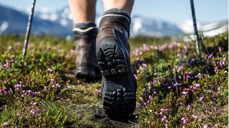 6 Best Men's Waterproof Hiking Shoes of 2026 6 Best Men's Waterproof Hiking Shoes of 2026