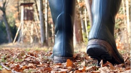6 Best Elk Hunting Boots of 2026 6 Best Elk Hunting Boots of 2026