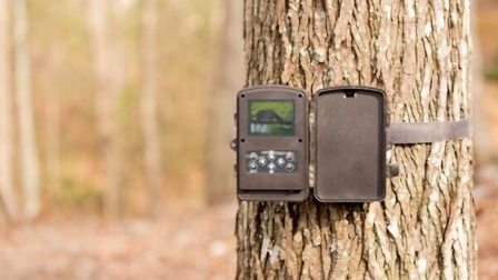 6 Best Cellular Trail Cameras of 2026