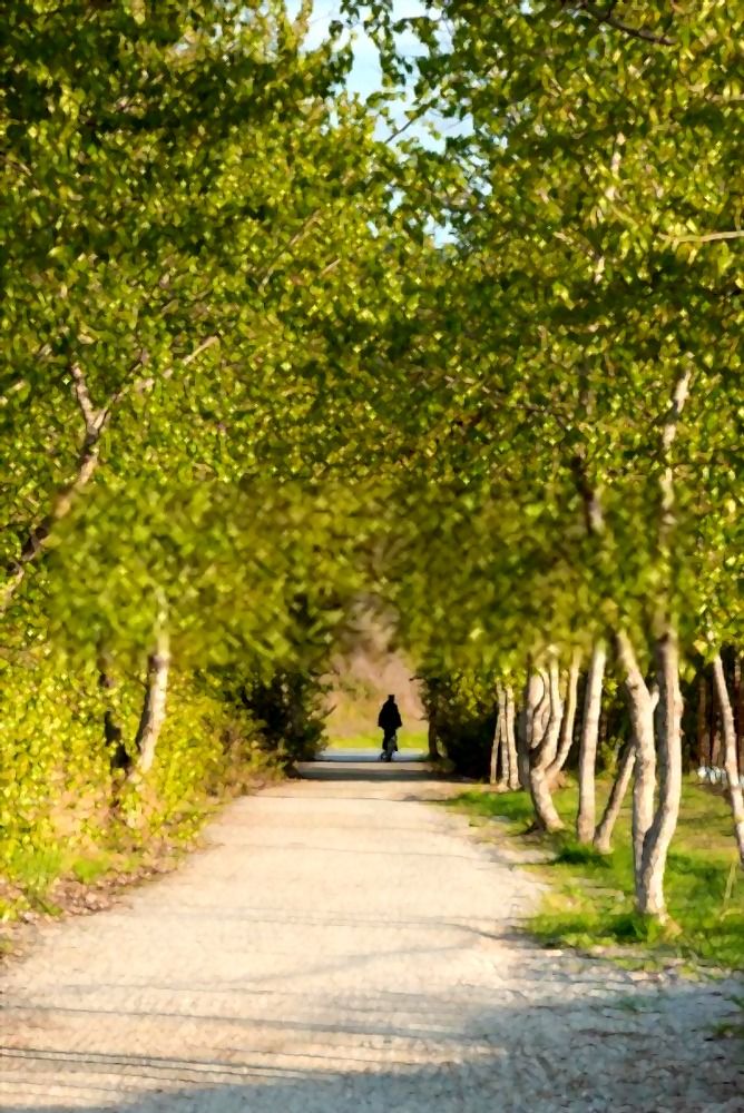 Top 8 Longest Paved Bike Trails in the US