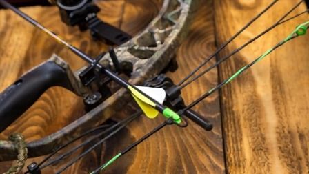 6 Best Arrows For Compound Bow of 2026
