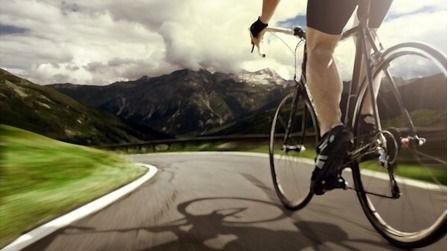 6 Best Beginner Road Bikes Under $500 of 2026