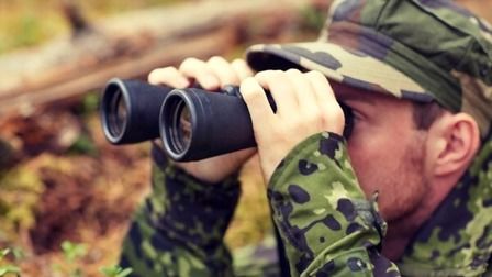 6 Best Elk Hunting Binoculars of 2026