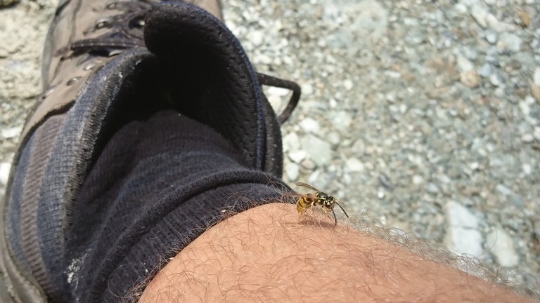 What to Wear When Hiking in Summer?