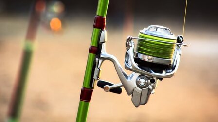 6 Best Saltwater Spinning Reels for The Money of 2026